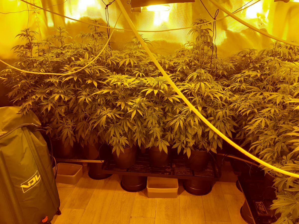 המשטרה תפסה מעבדת סמים בשכונת מגורים