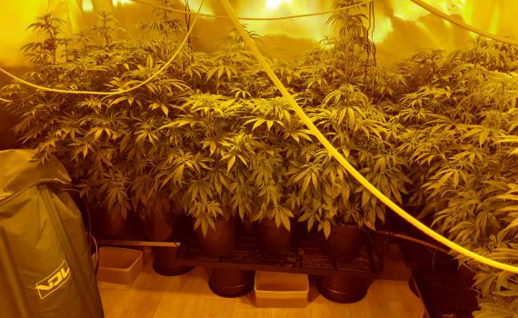 המשטרה תפסה מעבדת סמים בשכונת מגורים