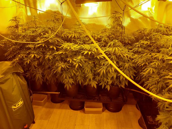 המשטרה תפסה מעבדת סמים בשכונת מגורים