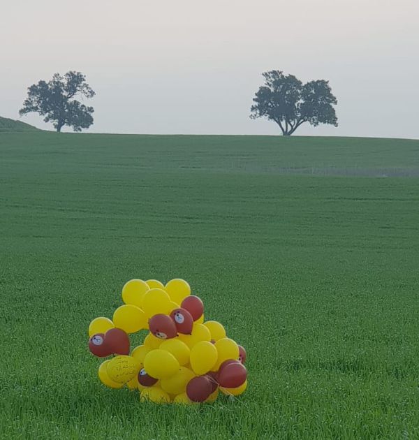 שוב בלוני נפץ בדרום, המשטרה פרסמה הנחיות