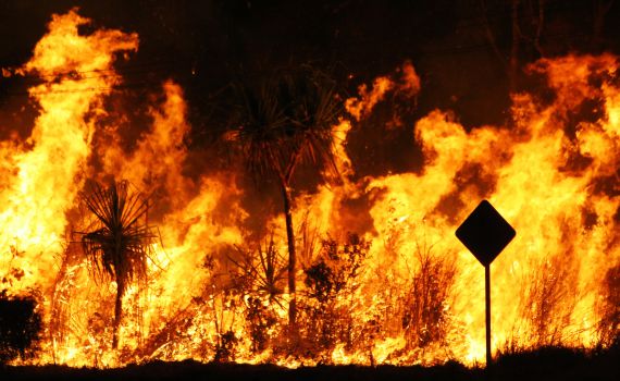 גל השריפות באוסטרליה: 25 הרוגים, אלפי בניינים ניזוקו