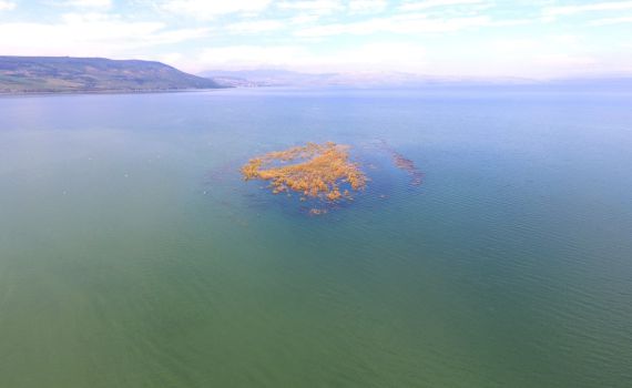 לפני ואחרי: תיעוד מרהיב מעליית מפלס הכנרת. צפו