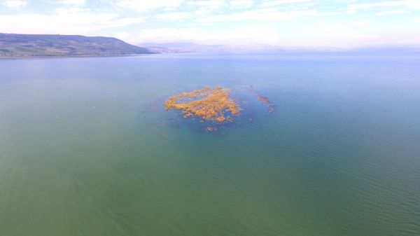 לפני ואחרי: תיעוד מרהיב מעליית מפלס הכנרת. צפו
