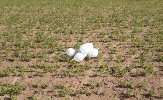 טרור בלוני הנפץ נמשך: מטען חשוד נחת בשדרות