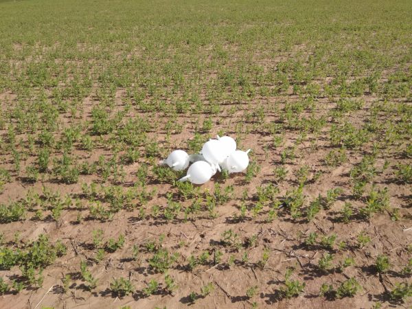 טרור בלוני הנפץ נמשך: מטען חשוד נחת בשדרות