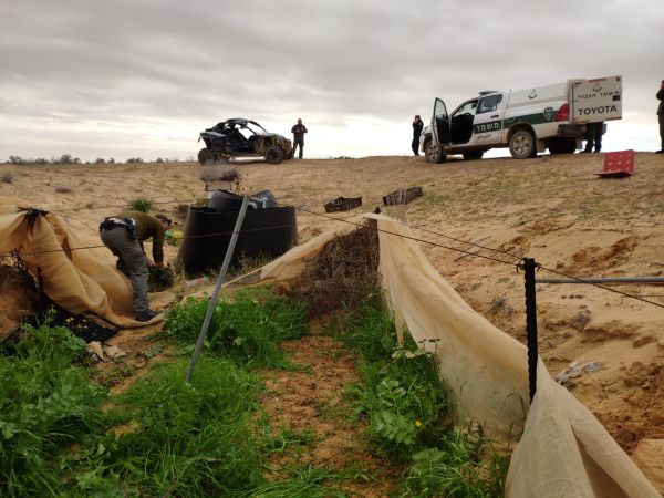 שיא החוצפה: בדואים גידלו קנאביס בשטח אש של צה"ל