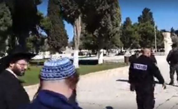 למרות הפיגוע: הר הבית נפתח לכניסת יהודים. צפו