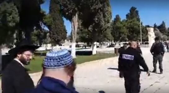 למרות הפיגוע: הר הבית נפתח לכניסת יהודים. צפו