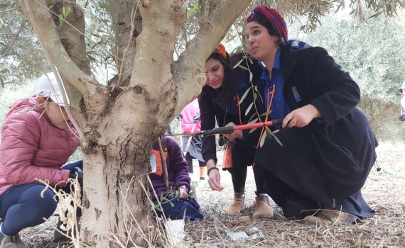 במקום נטיעות חניכי עזרא עזרו לחקלאי הנגב