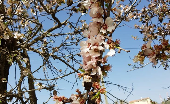 10 הכתבות שעשו לנו את השבוע החולף
