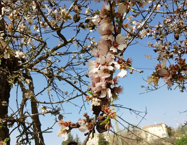 10 הכתבות שעשו לנו את השבוע החולף