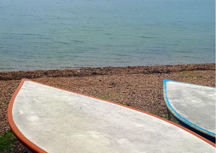 גשמי ברכה: מפלס הכנרת ממשיך לטפס