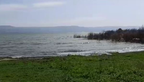 תיעוד נדיר: הכנרת עולה על גדותיה ומציפה את החוף. צפו