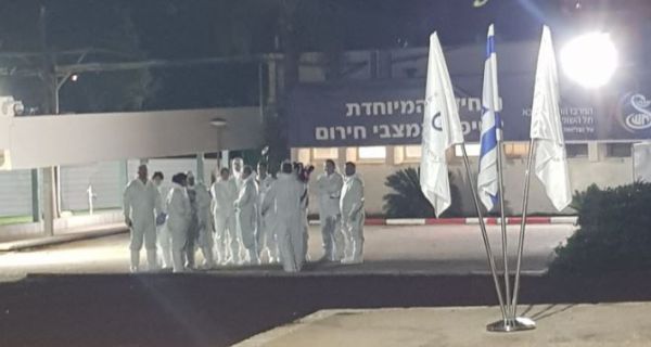 הישראלים מספינת הקורונה נחתו בישראל