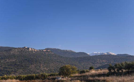 החום יימשך; הגשם והשלג בדרך: תחזית מזג האוויר
