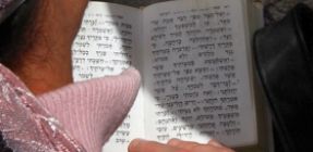 סגולה לפרנסה: אמרו עכשיו את פרשת המן