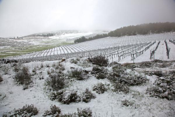 גל קור כבד; סיכוי לשלג בנגב: תחזית מזג אוויר