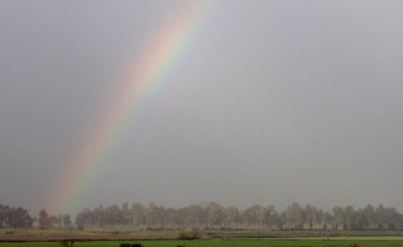 הפוגה קצרה מהגשם; החום חוזר: תחזית מזג האוויר