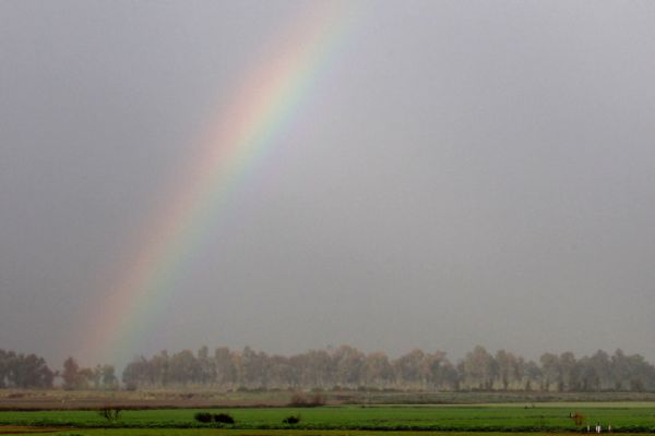 הפוגה קצרה מהגשם; החום חוזר: תחזית מזג האוויר