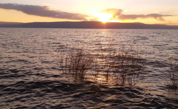 לפני שהגשם חוזר: מפלס הכנרת בעוד עלייה מרשימה