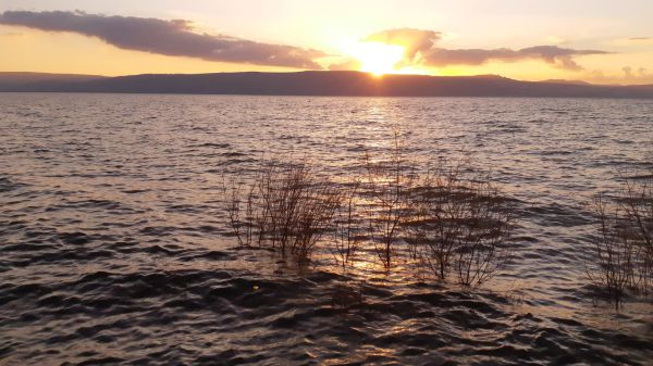 לפני שהגשם חוזר: מפלס הכנרת בעוד עלייה מרשימה