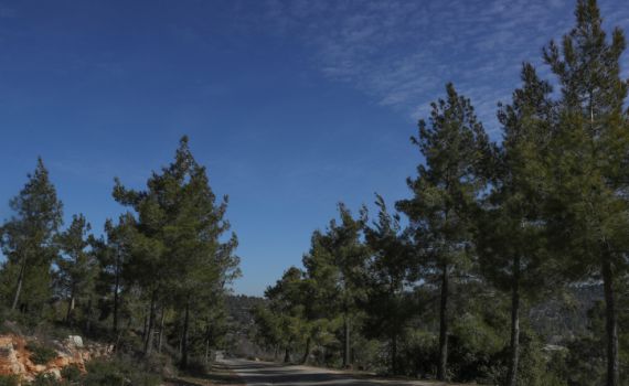 הפוגה מהחורף; הגשם יחזור בקרוב: תחזית מזג האוויר
