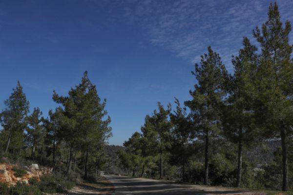 הפוגה מהחורף; הגשם יחזור בקרוב: תחזית מזג האוויר