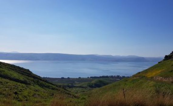מתקרבים להסטוריה: מפלס הכנרת בעוד עלייה נאה