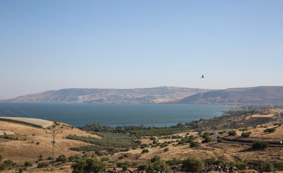 רעידת אדמה הורגשה באזור הצפון; אין נפגעים