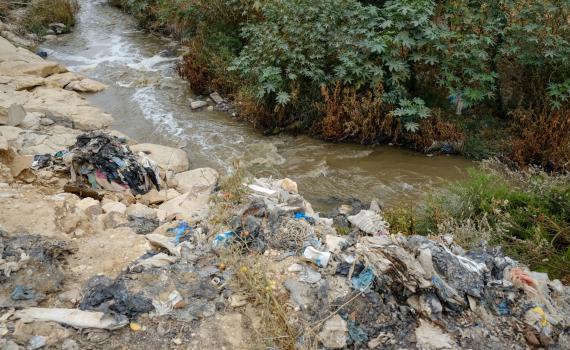 לא מספיק קורונה? התגלתה עכברת בנחלי הצפון