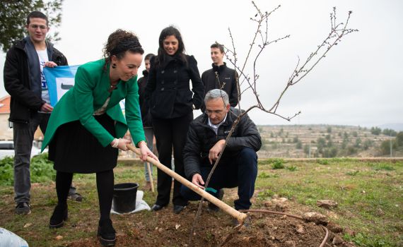 כך הולכים המועמדים: לפני הבחירות, יוצאים לנטיעות