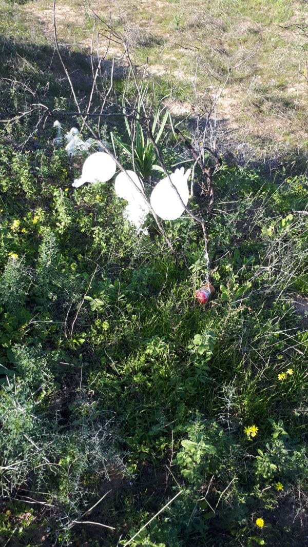 בלוני תבערה אותרו במועצה אזורית חוף אשקלון