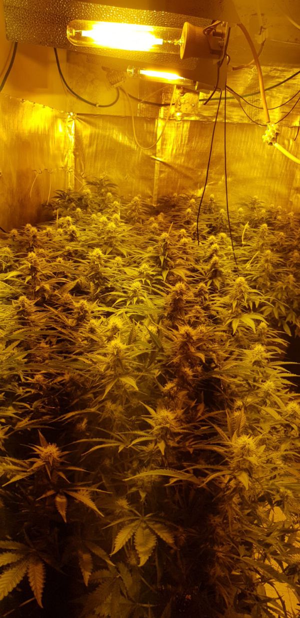 נתפסה מעבדת סמים בצפון השומרון