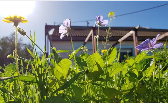 אז מה היה השבוע? 10 כתבות שאסור להחמיץ