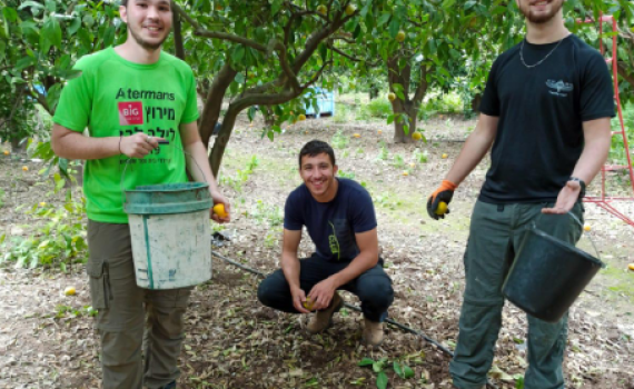 שר החינוך הפציר: אלפים הצטרפו להתנדבות, קחו חלק