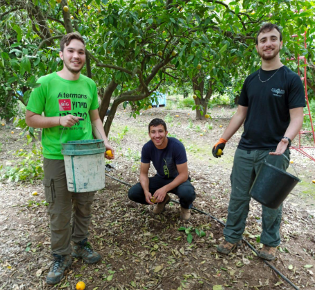 שר החינוך הפציר: אלפים הצטרפו להתנדבות, קחו חלק