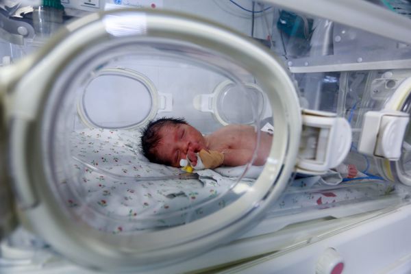 בשורות טובות: נשללה הידבקות של הפג בקורונה