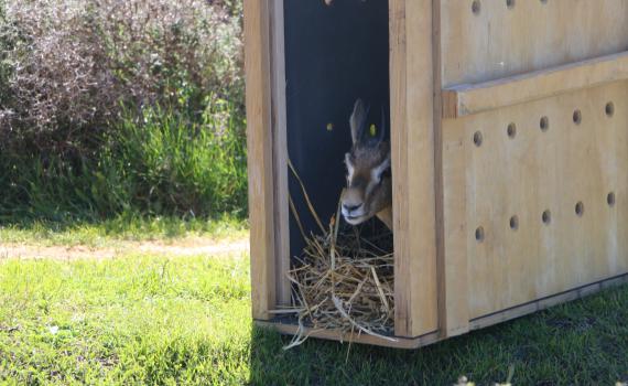 בזכות ערנותם של אזרחים ניצלו חייהם של שני צבאיים