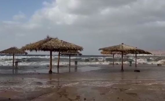 מטורף: חופי אילת הוצפו; העץ המפורסם קרס