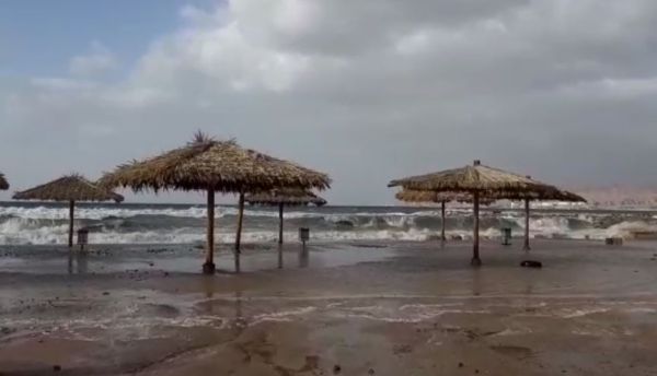 מטורף: חופי אילת הוצפו; העץ המפורסם קרס