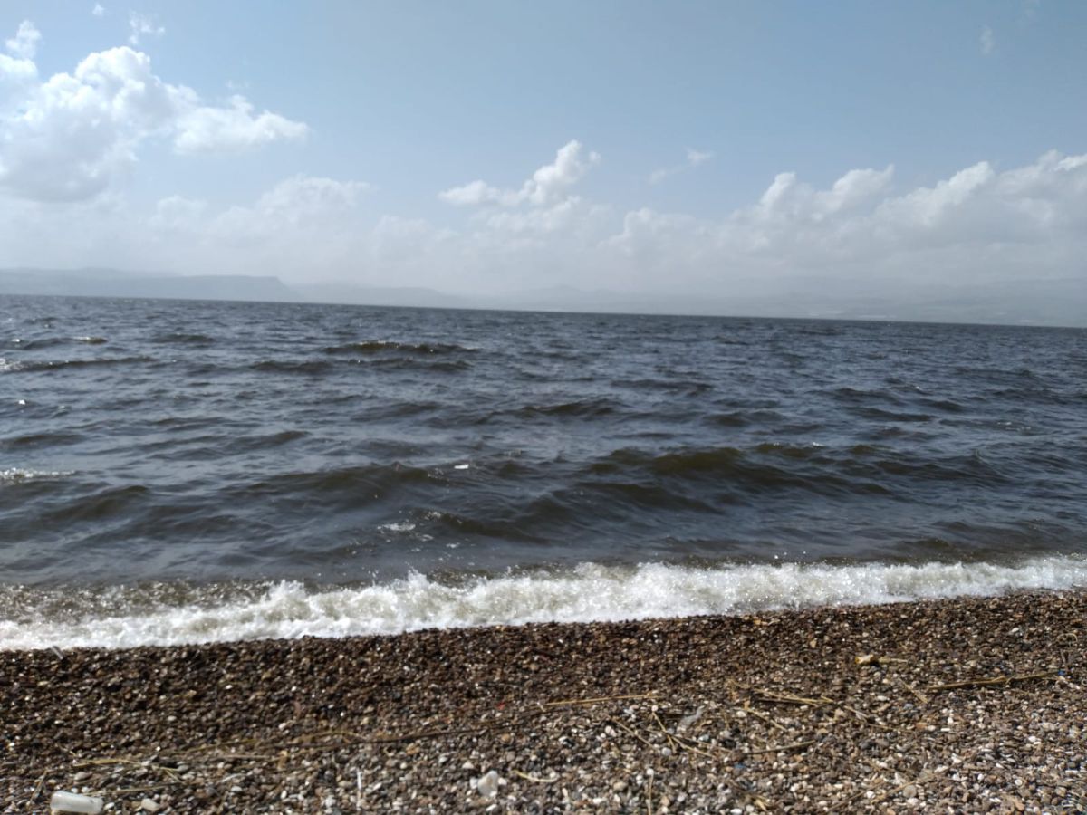 מתקרב לשיא: מפלס הכנרת ממשיך לטפס