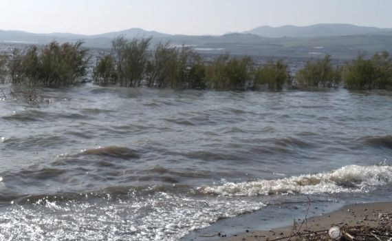 בדרך בטוחה לשיא: מפלס הכנרת ממשיך לעלות
