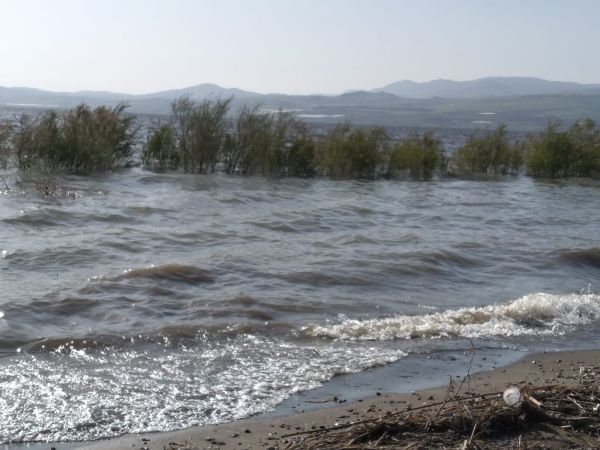בדרך בטוחה לשיא: מפלס הכנרת ממשיך לעלות