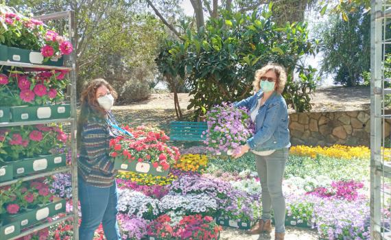 המשתלה מהדרום שכבשה את בתי החולים