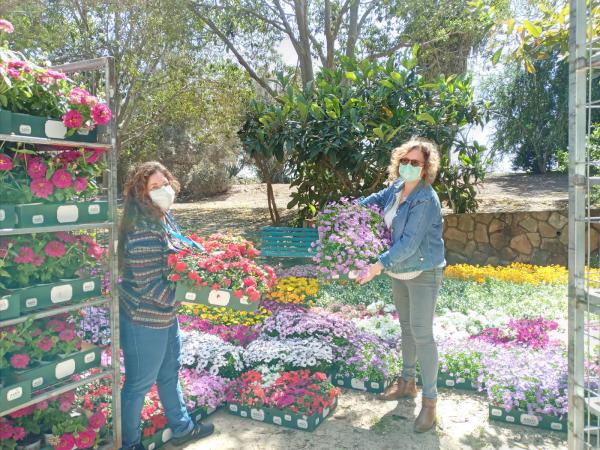 המשתלה מהדרום שכבשה את בתי החולים