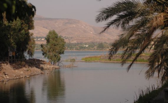 על אף העלייה במפלס: סכר דגניה לא ייפתח השנה