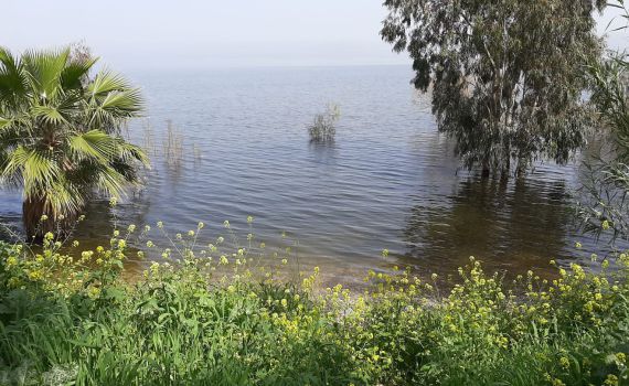 לקראת סופ"ש סוער: מפלס הכנרת רושם עלייה נוספת