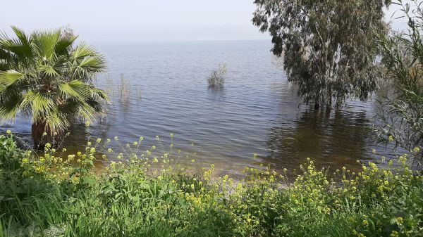 לקראת סופ"ש סוער: מפלס הכנרת רושם עלייה נוספת