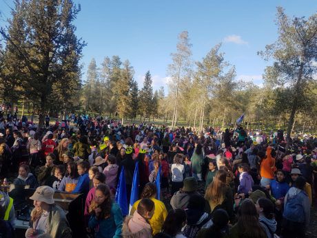 בגלל הקורונה: נדחה מסע ט"ו בשבט של אריאל