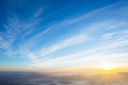 האביב כבר פה • חום, טפטוף ואובך: תחזית מזג האוויר